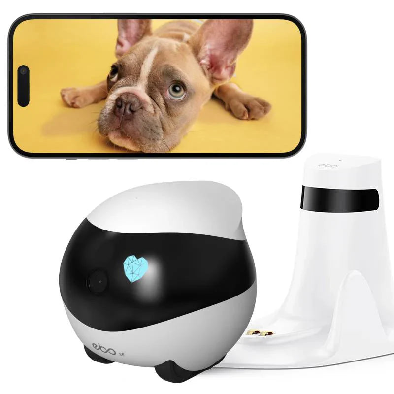 EBO SE – Wireless Camera Robot | Enabot Australia – Gearbite