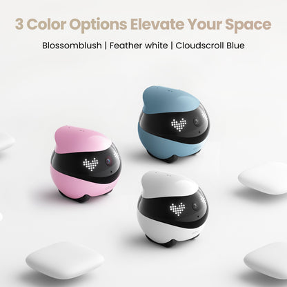 EBO Air 2 Companion Robot